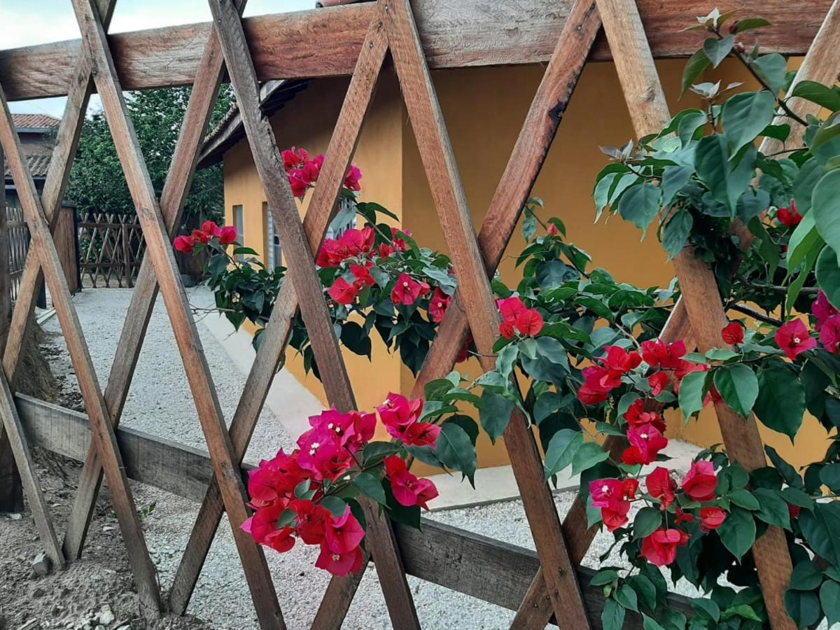 فيلا Casa Kiiro, Um Ambiente Tranquilo E De Sossego. Santo Antônio do Pinhal المظهر الخارجي الصورة