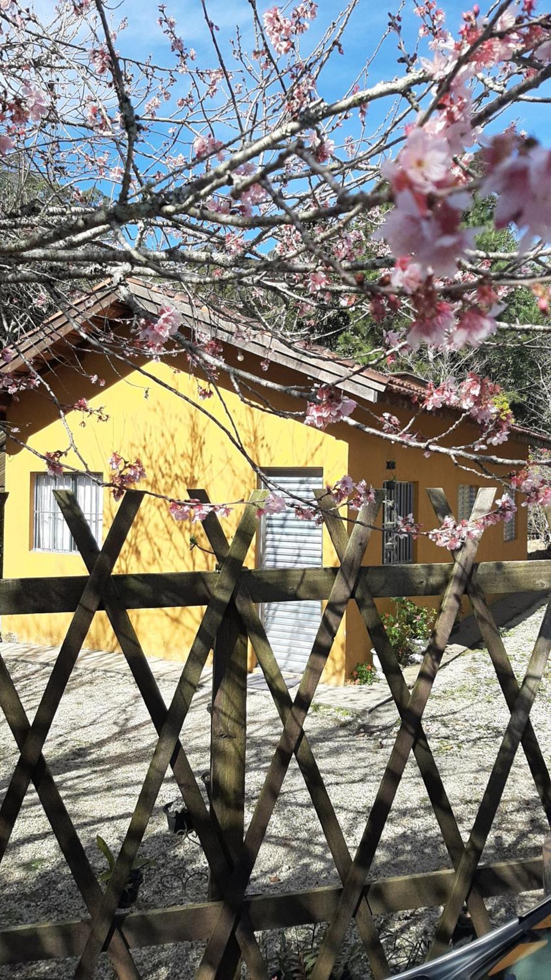 فيلا Casa Kiiro, Um Ambiente Tranquilo E De Sossego. Santo Antônio do Pinhal المظهر الخارجي الصورة